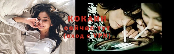 молекула духа Абинск